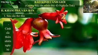Bài giảng Bảo kính cảnh giới 43 (Cảnh ngày hè) Nguyễn Trãi Ngữ văn 10 tập2 Kết nối tri thức #haynhất