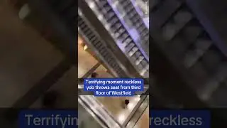 Terrifying moment reckless teen throws seat from mall's third floor