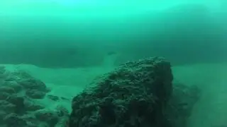Underwater footage from the Rainbow Channel and east of Wellington Point Moreton Bay