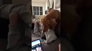 @getrealwithalix: У Фрэнки 