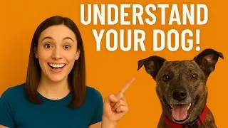 What Your Dog Is Really Telling You (Science-Based Dog Body Language Guide)