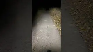 Lupine SL Nano AF 1200 Lumens (Low beam / High beam) #lupine #bikelights #nightride #highbeam