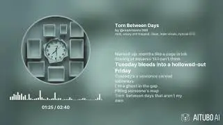 Torn Between Days