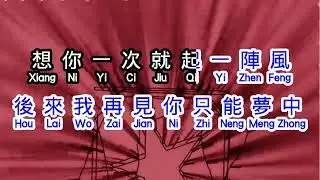 大潞  《 想你一次起一阵风 》  xiang ni yi ci qi yi zhen feng