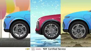 EV Tire Needs