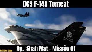 DCS F-14B Tomcat: Op. Shah Mat - Missão 01