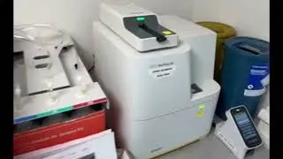 Veterinary laboratory: vet clinic behind the scenes