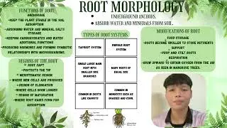 Plant Morphology Presentation (GROUP 3)