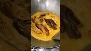 shorts#YouTube#besties#hindi #rakhi s'vlog#cooking# #motivation#inspireation #strongindividual#viral