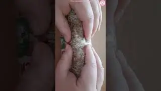 Crinkle ASMR *No Talking*