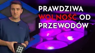 Zasmakuj w wolności od przewod&oacute;w! - Chauvet DJ Freedom PAR H9 IP