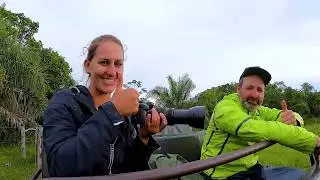 PANTANAL BIRDS & MAMMALS