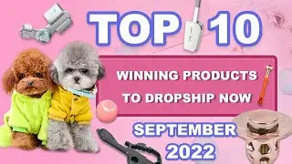 Top 10 Winning Products to Dropship Now | September 2022