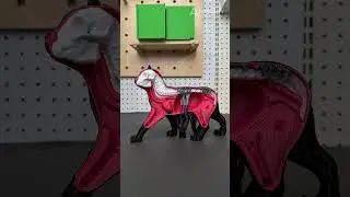 #3dprinting lets you see beneath the fur.#creality #creality #crealityhi #3dprintedmodel