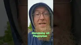 Microdosing with fly agaric mushrooms as a natural antidepressant #depression #naturalremedies #m...