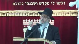 הלכות פת הבאה בכיסנין | הרב יורם סרי