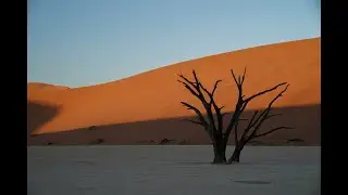 Sunrise on Namibian Dunes