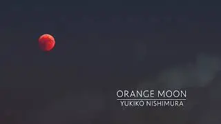 Orange Moon / Yukiko Nishimura