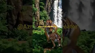 viral capture of a deer in a dense forest@AzmyArsyllaKreator-sc1od #tiger