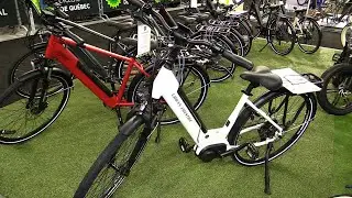 2022 Ride Bike Style Urban Classic Low Step Review | BicycleTube
