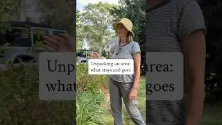Approaching An Area With Clarity
