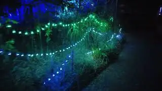 Living Lights at John Ball Zoo
