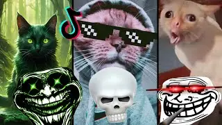 🥶 COLDEST MOMENTS TROLLFACE CAT TIKTOKSS COMPILATION🔥|🥵 PHONK TROLL&nbsp;EDITS&nbsp;#1million