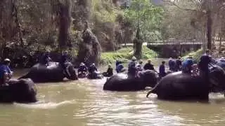 elephant bath at Lampang Thailand Elephant sanctuary