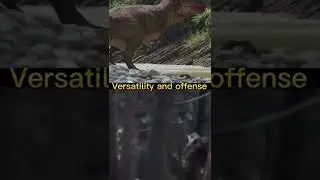 Hank vs Stumpy #shorts #trex #stumpy #hank #prehistoricplanet #documentary #paleontology #jw #jp
