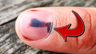 COSAS QUE NO SABIAS HACE 5 MINUTOS #30