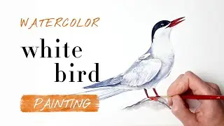 This Watercolor White Bird Painting Done in Time Lapse is Incredible!