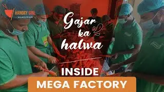 Gajar Ka Halwa | Inside of Dhamthal Mega Kitchen | Carrot Halwa Recipe