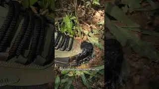 Men&rsquo;s Work Hiking Boots &ndash; Waterproof, Non-Slip, Puncture and Smash Resistant, Wide Toe, Arch Support
