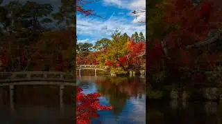 Relaxation music ambient soundscapes. Subscribe for sounds that elevate your consciousness.