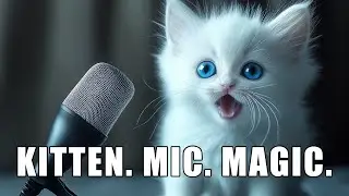 Meow Me Media - Sock Adventures (Adorable Kitten Music Video)