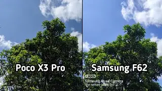 Poco X3 Pro vs Samsung Galaxy F62 camera comparison | Poco X3 Pro camera test | Tech 4 camera