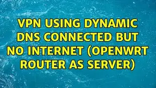 vpn using dynamic DNS connected but no internet (openwrt router as server)