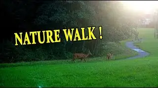 Gothenburg, Sweden - Nature walk
