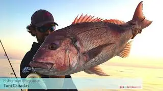 Denton a jigging con Crazy Sand Eel 300