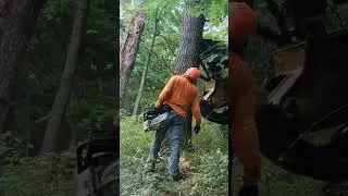 Can't fall that this way - #logging #action #verticalvideo