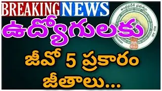 AP EMPLOYEES SALARIES TO BE PAID  AS PER G.O.5 AND G.O.7 |జీవో 5 ప్రకారం ఉద్యోగులకు జీతాలు