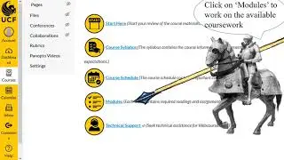 Medieval Ireland: How to Access This Course Online