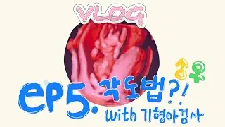 🤰🏻12~15주차 임신 브이로그 | 성별공개!!! | 각도법 | 1차 기형아검사&입체초음파 | 입덧 끝물..?
