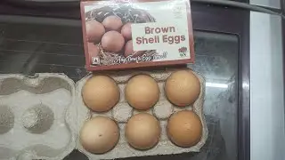 UNBOXING BROWN SHELL EGGS