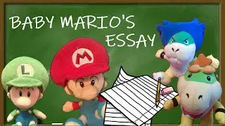 Baby Mario's Essay