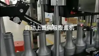 Engine oil bottle small bottle servo motor capping machine with cap feeding elevator