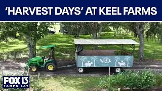 Keel Farms showcases 'Harvest Days'