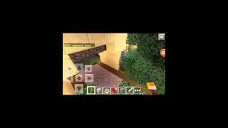 Обзор сервера mcpe