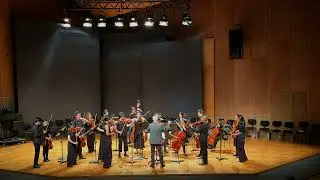 Smith's Alchemy by Carl Vine, Hemispheres Concert, Liederhalle Stuttgart: Melbourne String Ensemble