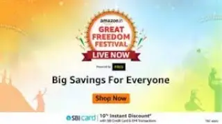 Great Freedom Festival Sale 2024: Excessive savings on laptops, refrigerators, and TVs